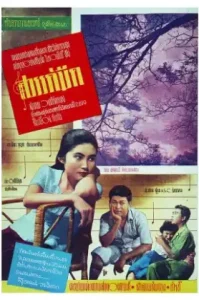 ดูหนัง Dark Heaven 1958 สวรรค์มืด (เต็มเรื่อง)