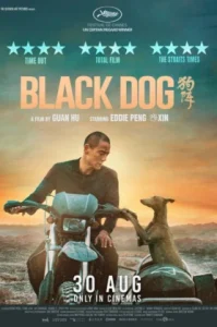 ดูหนัง BLACK DOG (2024) (เต็มเรื่อง)